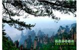 【純玩獨立成團(tuán)線路1】張家界、袁家界、天子山、寶峰湖/黃龍洞二晚三日
