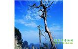 湘西之旅：張家界、天子山、寶峰湖/黃龍洞、鳳凰古城、猛洞河漂流、天門山六日游