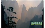 張家界國家森林公園、寶峰湖/黃龍洞、鳳凰古城、三峽八日游