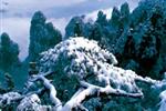 【純玩拼團(tuán)線路18】下午班：鳳凰古城、張家界、天子山三晚四日游