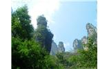 【純玩拼團(tuán)線路 張家界出發(fā)A2線】張家界、袁家界、天子山、金鞭溪、鳳凰古城2晚3日游
